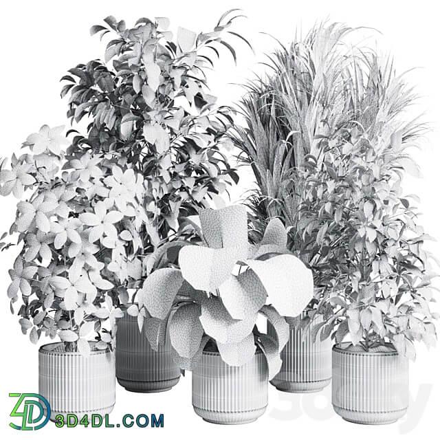 indoor plant set 308 pot palm ficus rubbery monstera concrete dirt vase 3D Models