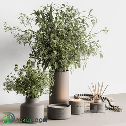 Vase and Plant Decorative Set Set 126 3D Models 