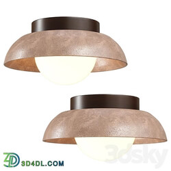 Lampatron STURE ceiling light Ceiling lamp 3D Models 