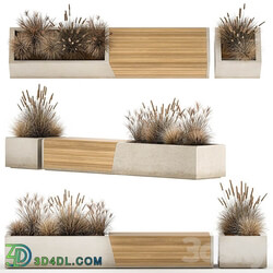 Bench flowerbed for the urban environment in a concrete flowerpot with bushes of reeds and dried flowers, dry grass. 1142. 