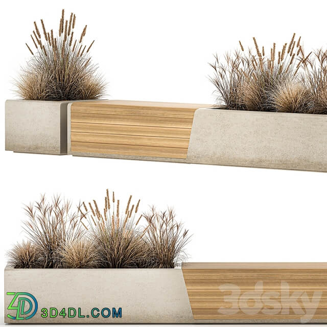 Bench flowerbed for the urban environment in a concrete flowerpot with bushes of reeds and dried flowers, dry grass. 1142.