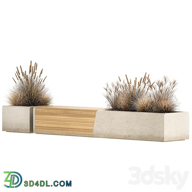 Bench flowerbed for the urban environment in a concrete flowerpot with bushes of reeds and dried flowers, dry grass. 1142.