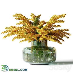 Mimosa in a low glass vase 