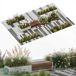 Flower bed with feather grass bushes, Miscanthus, Cortaderia and white pampas grass, bench and bench paving slabs. 1147. 