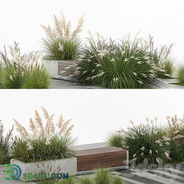 Flower bed with feather grass bushes, Miscanthus, Cortaderia and white pampas grass, bench and bench paving slabs. 1147.