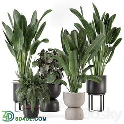 Indoor Plants in Ferm Living Bau Pot Large Set 1256 