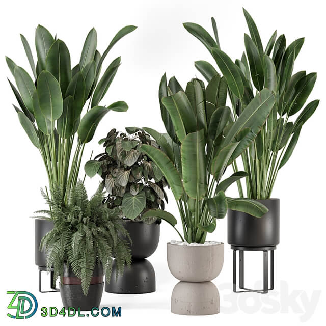 Indoor Plants in Ferm Living Bau Pot Large Set 1256