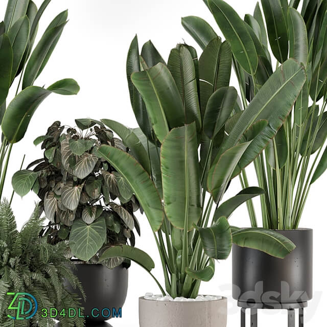 Indoor Plants in Ferm Living Bau Pot Large Set 1256