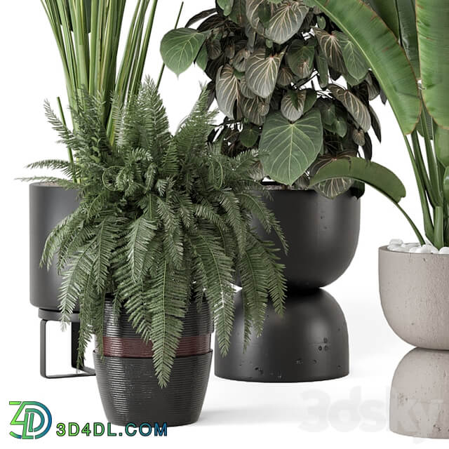 Indoor Plants in Ferm Living Bau Pot Large Set 1256