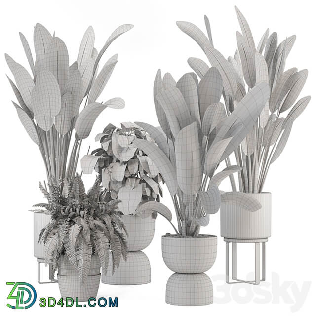 Indoor Plants in Ferm Living Bau Pot Large Set 1256