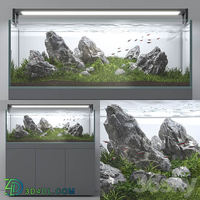 Aquascape aquarium Iwagumi