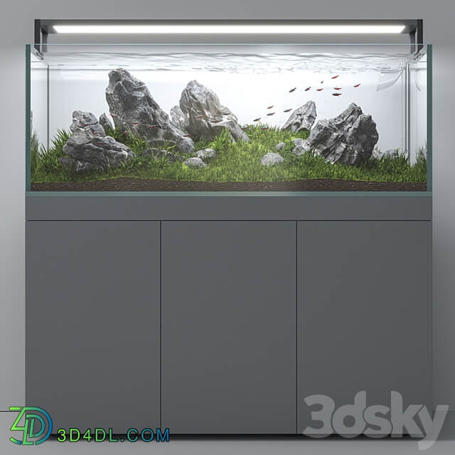 Aquascape aquarium Iwagumi