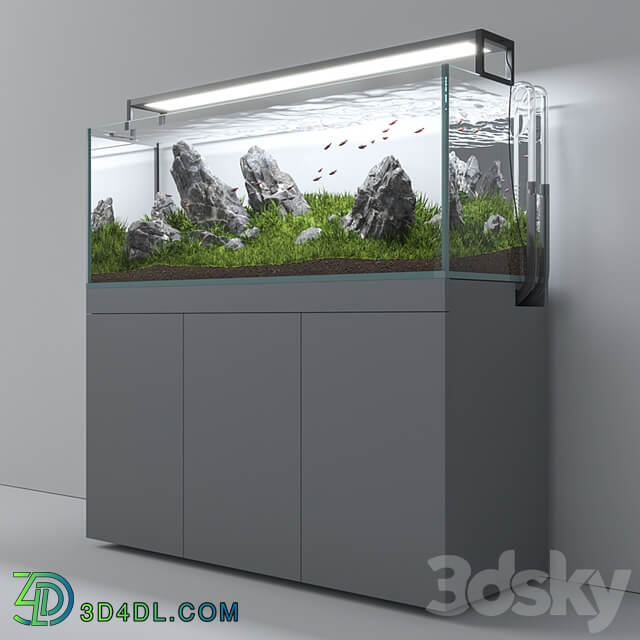 Aquascape aquarium Iwagumi