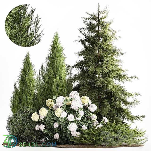 Garden of spruce, pine, topiary, white hydrangea bush, flowers, juniper, alpine hill. Plant set 1181