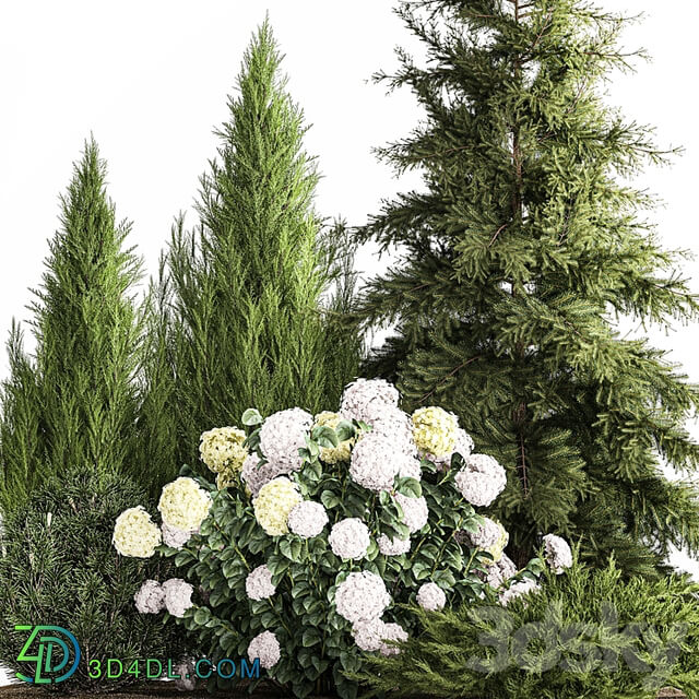 Garden of spruce, pine, topiary, white hydrangea bush, flowers, juniper, alpine hill. Plant set 1181