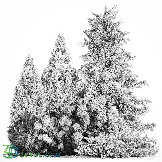 Garden of spruce, pine, topiary, white hydrangea bush, flowers, juniper, alpine hill. Plant set 1181