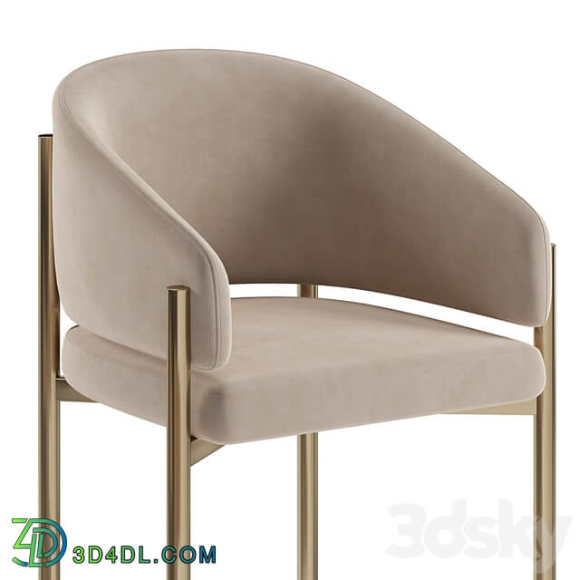 Solana Dining Chair