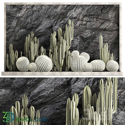 Desert plants cacti with wall rock, black pebbles, cereus, echinocactus, Barrel cactus. Plant collection 1279 