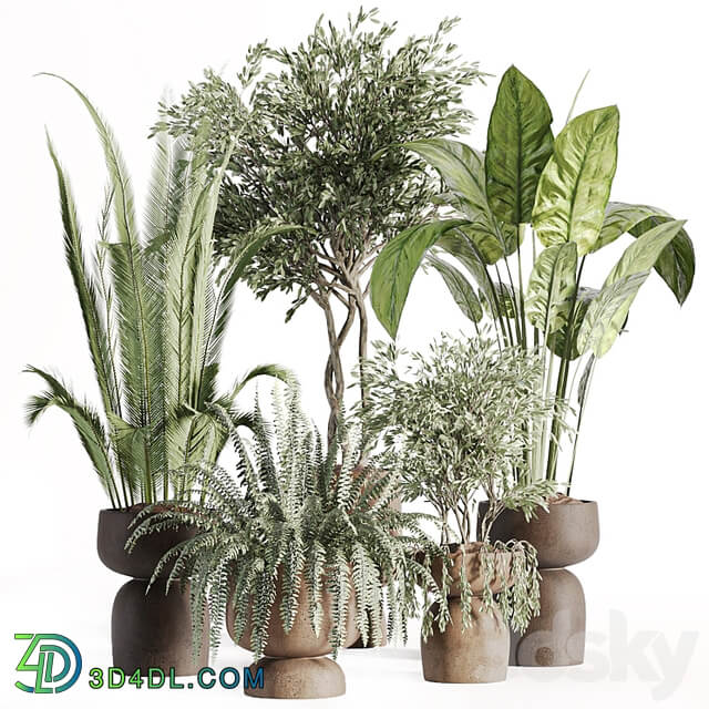 indoor plants in vase 002