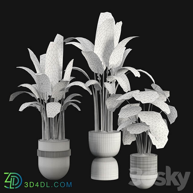 indoor plant set