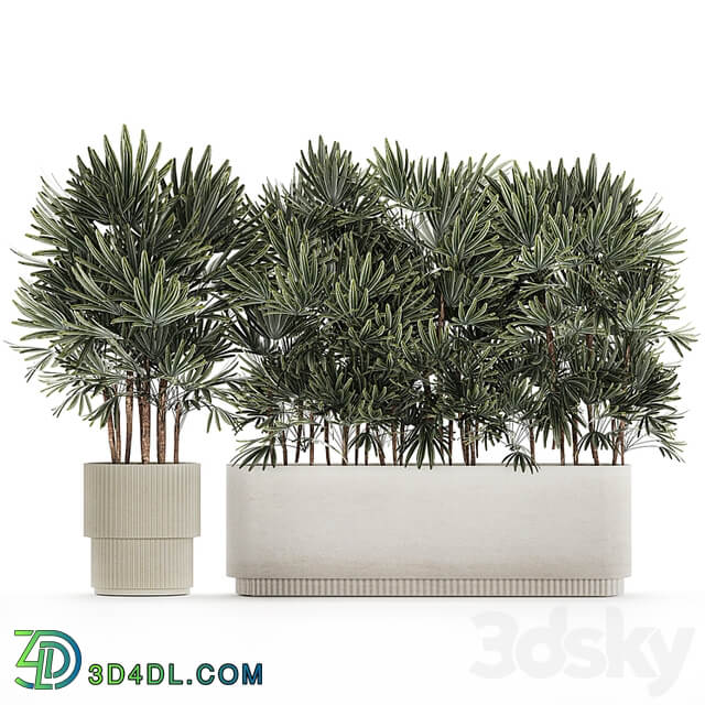 Plant collection 1356