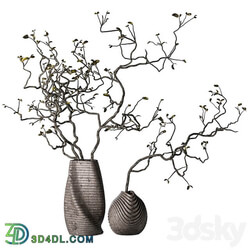 Dry branches with leaves in decorative vases 