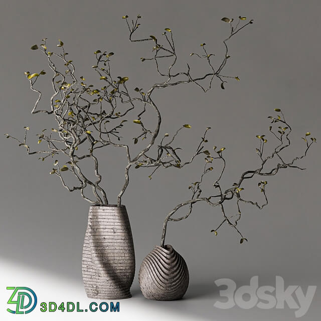 Dry branches with leaves in decorative vases