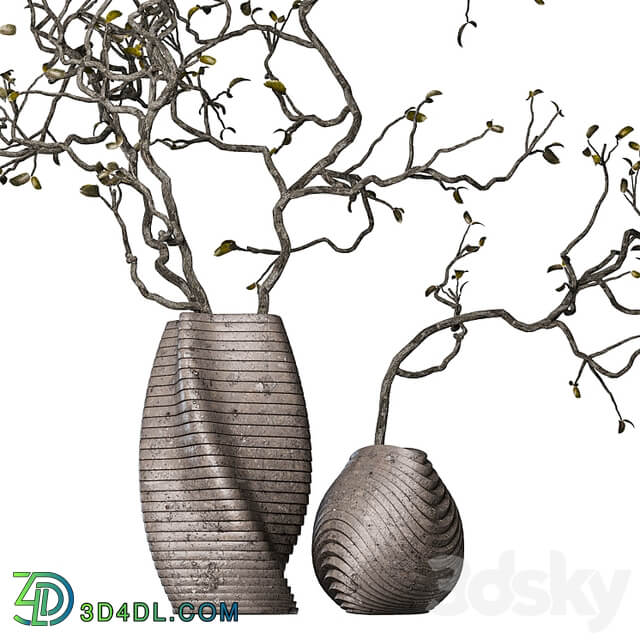 Dry branches with leaves in decorative vases