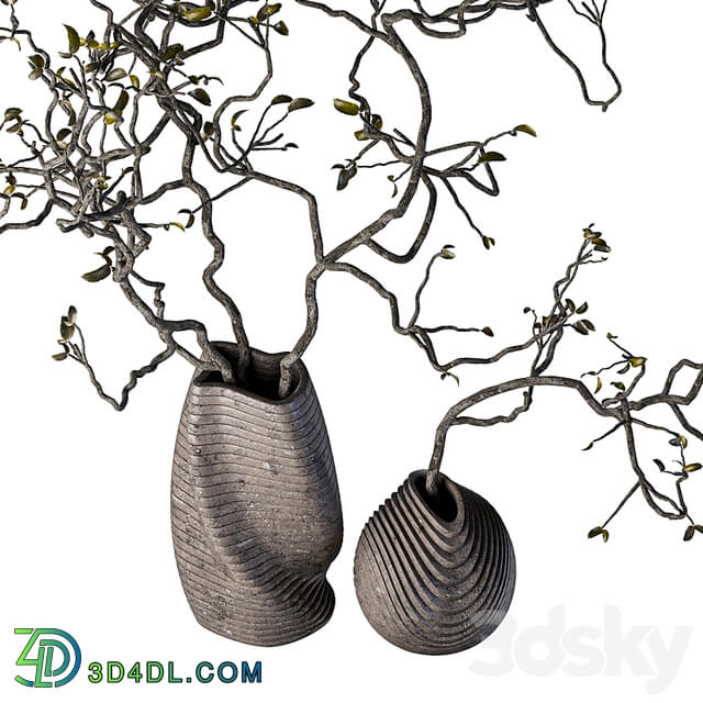 Dry branches with leaves in decorative vases