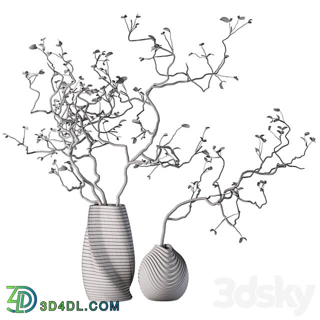 Dry branches with leaves in decorative vases