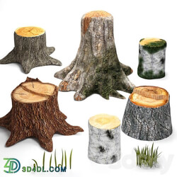 Tree stumps collection amp grass 3D Models 