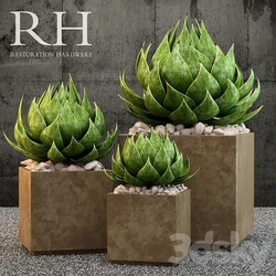 Restoration Hardware metera planter 3D Models 