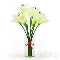 White Lilies 3D Models 