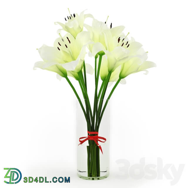 White Lilies 3D Models