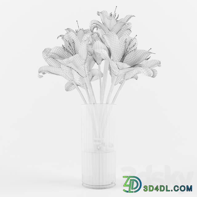 White Lilies 3D Models