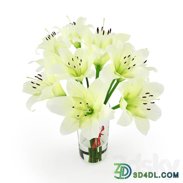 White Lilies 3D Models