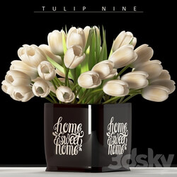 TULIP NINE 3D Models 