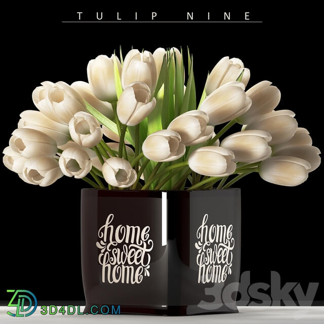 TULIP NINE 3D Models