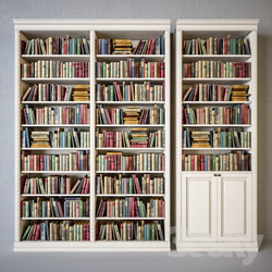 Other Cabinets with classical books 