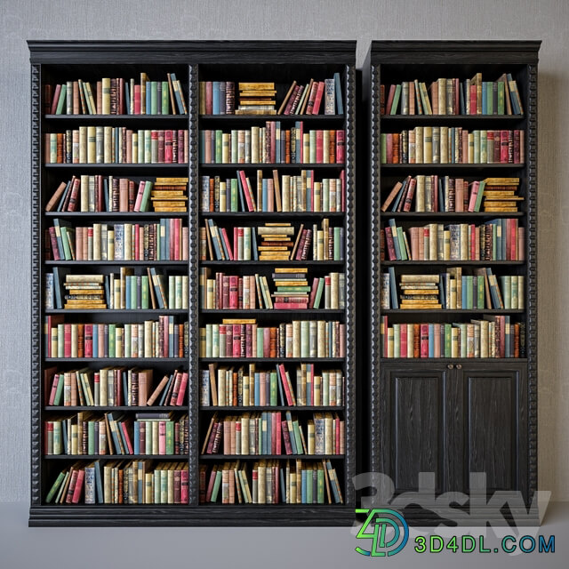 Other Cabinets with classical books