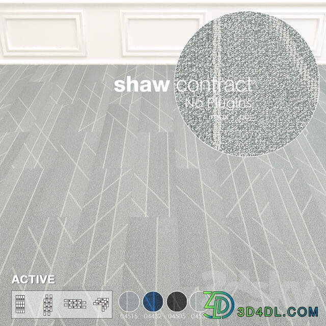 Shaw Carpet Active Wall to Wall Floor No 5