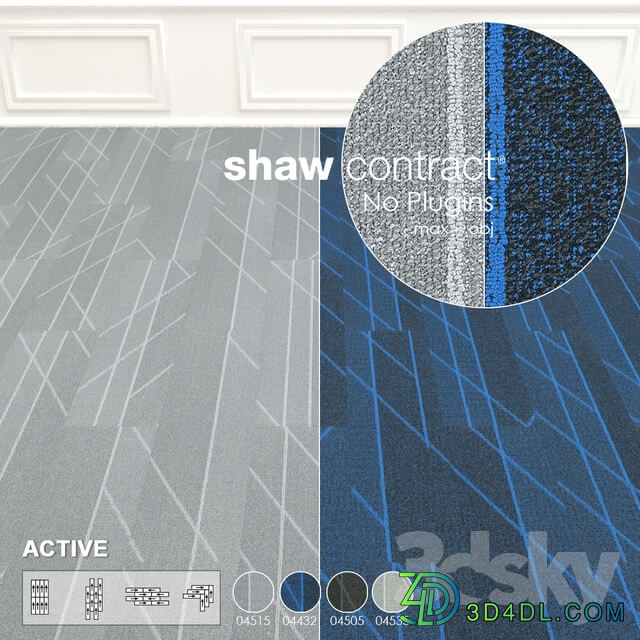 Shaw Carpet Active Wall to Wall Floor No 5