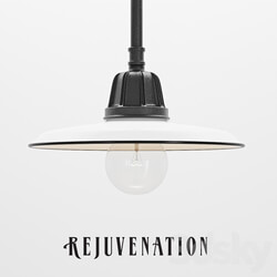 Rejuvenation Carson Rad Pendant Pendant light 3D Models 