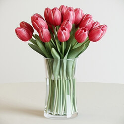 Tulip 3D Models 