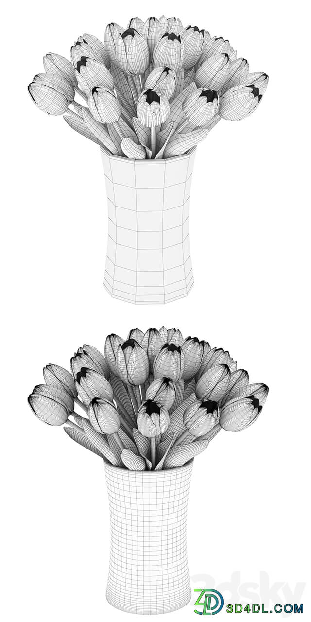 Tulip 3D Models