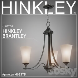 Chandelier Hinkley Brantley 4633TB Pendant light 3D Models 