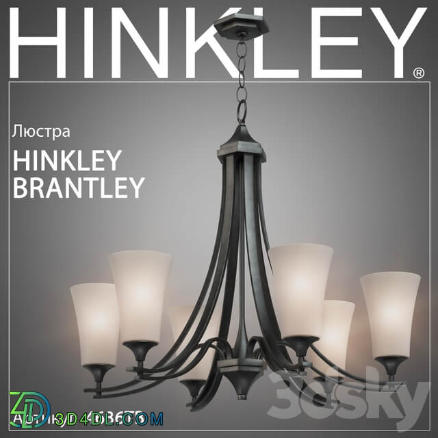 Chandelier Hinkley Brantley 4636TB Pendant light 3D Models