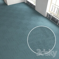 Miscellaneous Carpet covering 209 