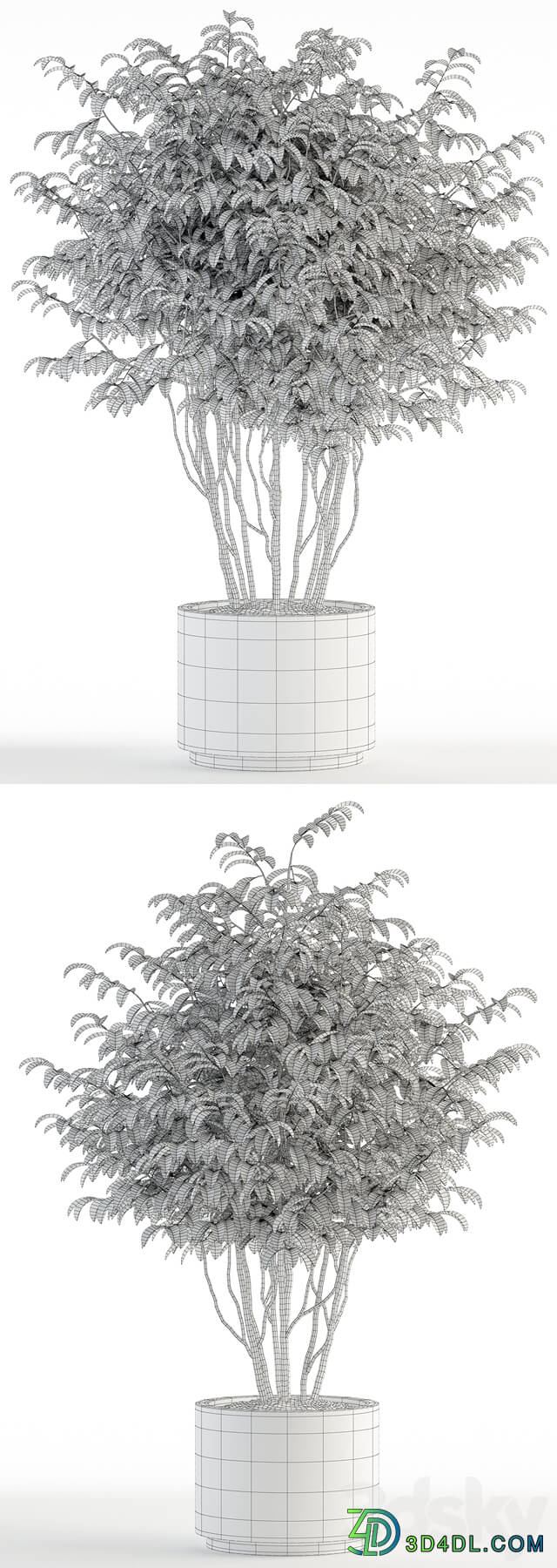 Plants collection 91 3D Models