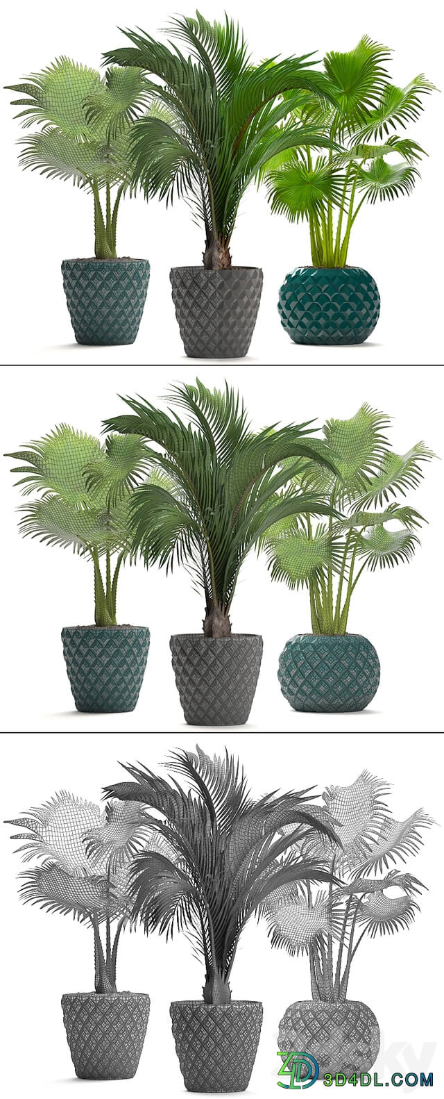 Collection of plants 214. Palm trees. Palm trees fan decorative indoor pot flowerpot concrete 3D Models